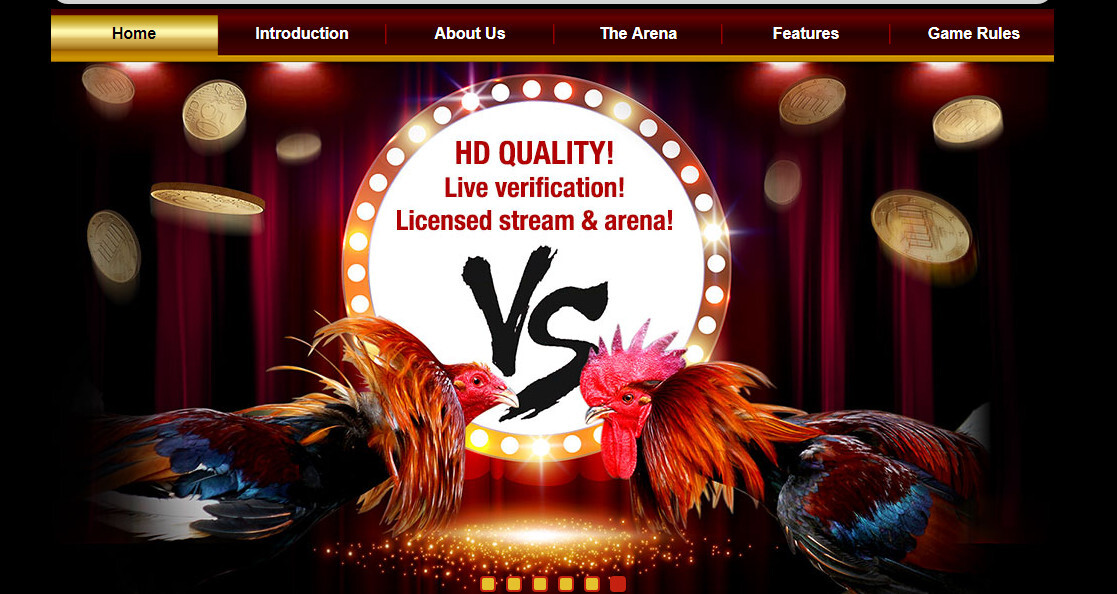 Đá gà S128 - Kênh cá cược cung cấp nhiều trận đá gà gay cấn 6 Đá gà là một trong những mảng thế mạnh của nhà cái S128