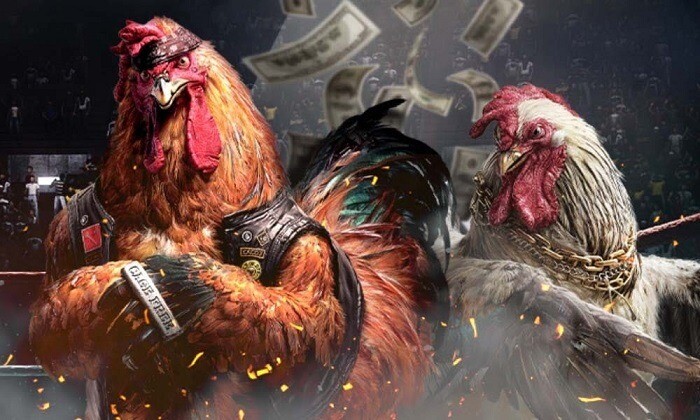 Những lợi ích khi xem đá gà bình luận mà anh em nên biết 11 Lý do xem đá gà có bình luận online được ưa chuộng?