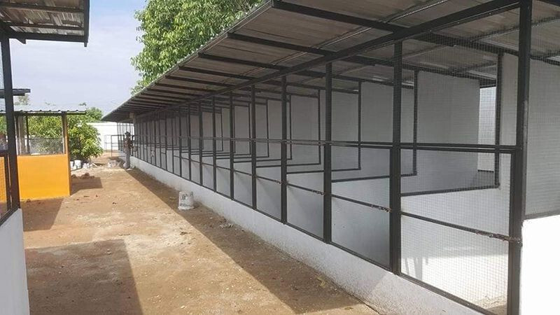 Hướng dẫn xây dựng mô hình nuôi gà chọi mang lại hiệu quả 8 Các bước xây dựng mô hình nuôi gà chọi đúng chuẩn