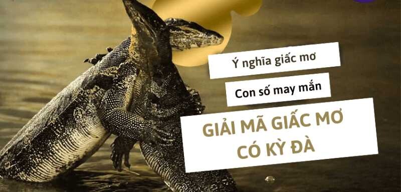 Nằm mơ thấy kỳ đà nên đánh con gì để trúng lớn? 6 Ý nghĩa nằm mơ thấy kỳ đà