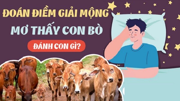 Giải mã giấc mơ: Mơ thấy bò đánh con gì dễ trúng thưởng lớn? 9 Mơ thấy bò đánh con gì dễ trúng thưởng lớn?