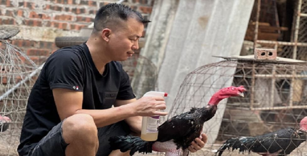 Top 5 bài tập luyện cơ chân cho gà chọi hiệu quả nhất 8 Áp dụng bài tập chạy bội giúp chân gà săn chắc hơn